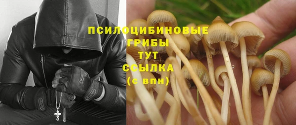 дживик Гусев