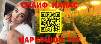прущие грибы Дубна