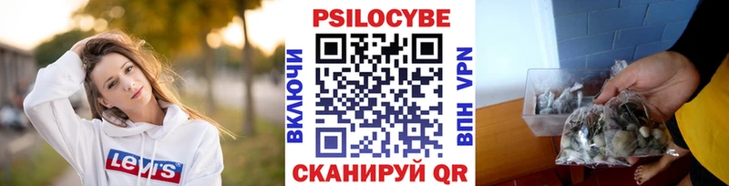 где продают наркотики  МЕГА зеркало  Псилоцибиновые грибы MAGIC MUSHROOMS  Балашов 