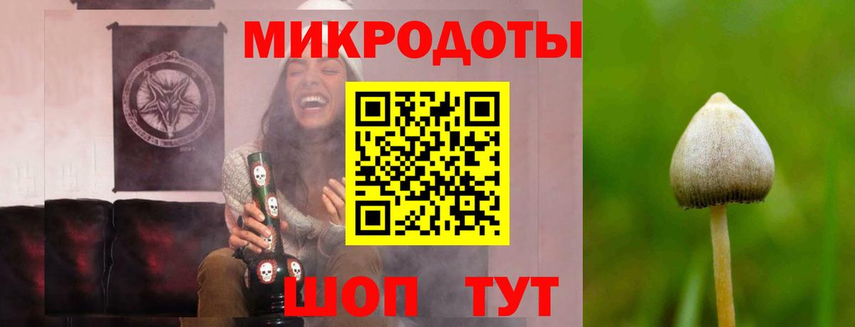 Псилоцибиновые грибы мицелий Балашов